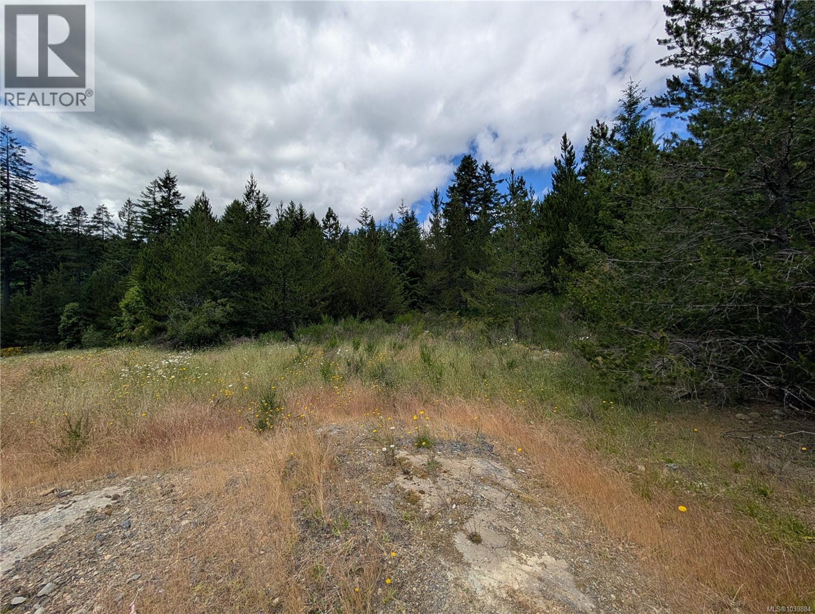 Lot 1 Eagle Vista Rd, Shawnigan Lake, British Columbia  V8H 2J1 - Photo 17 - 1039884