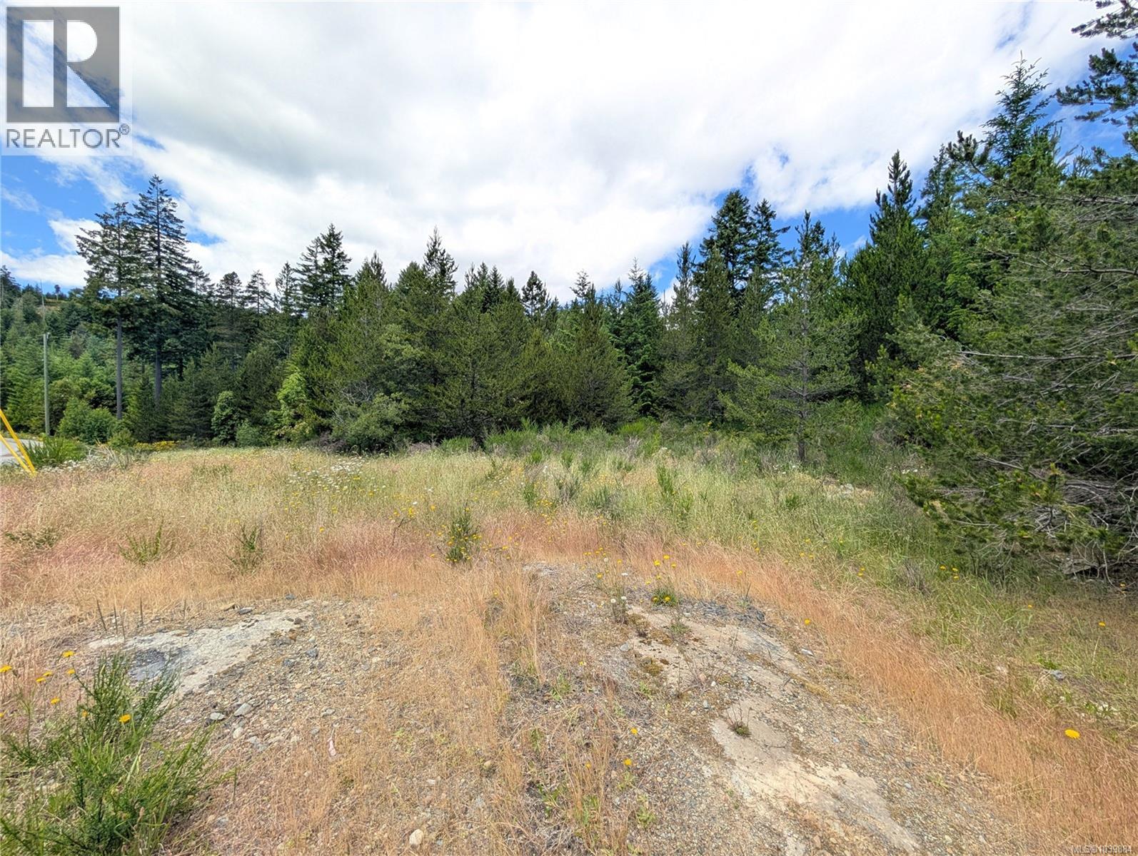 Lot 1 Eagle Vista Rd, Shawnigan Lake, British Columbia  V8H 2J1 - Photo 18 - 1039884
