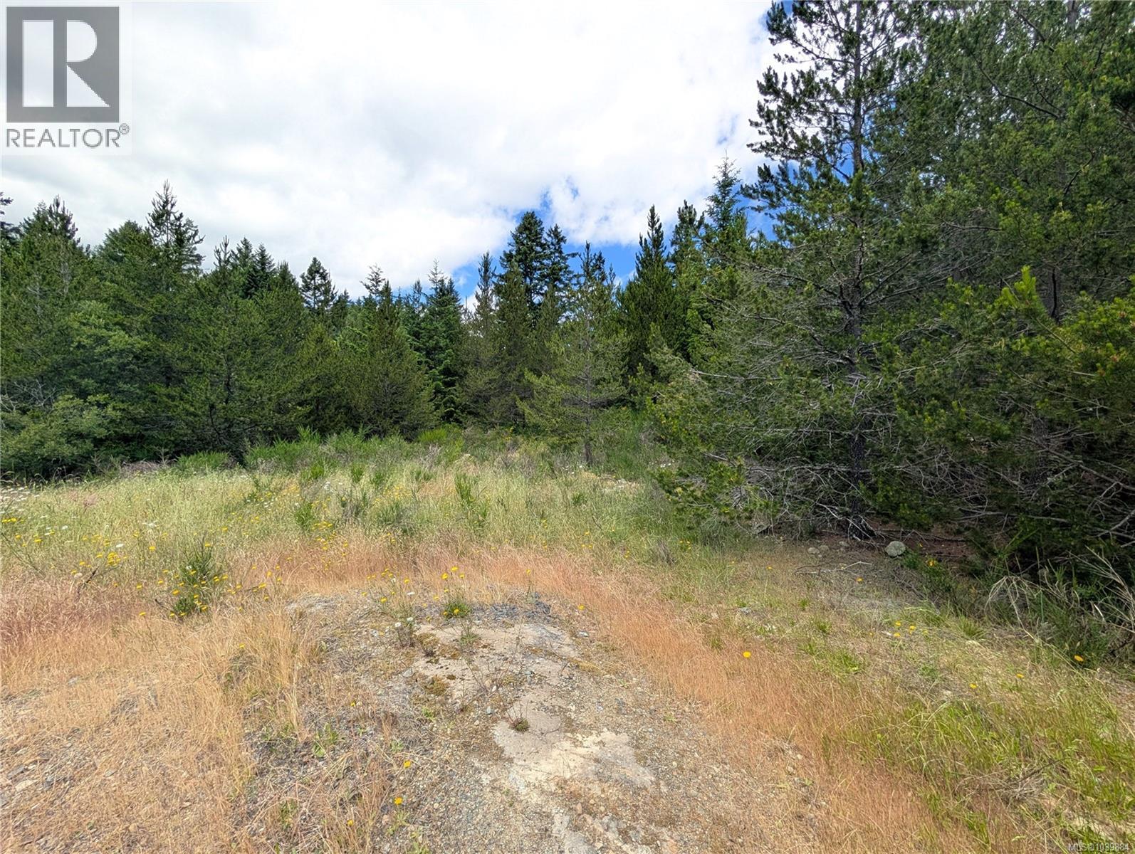 Lot 1 Eagle Vista Rd, Shawnigan Lake, British Columbia  V8H 2J1 - Photo 19 - 1039884