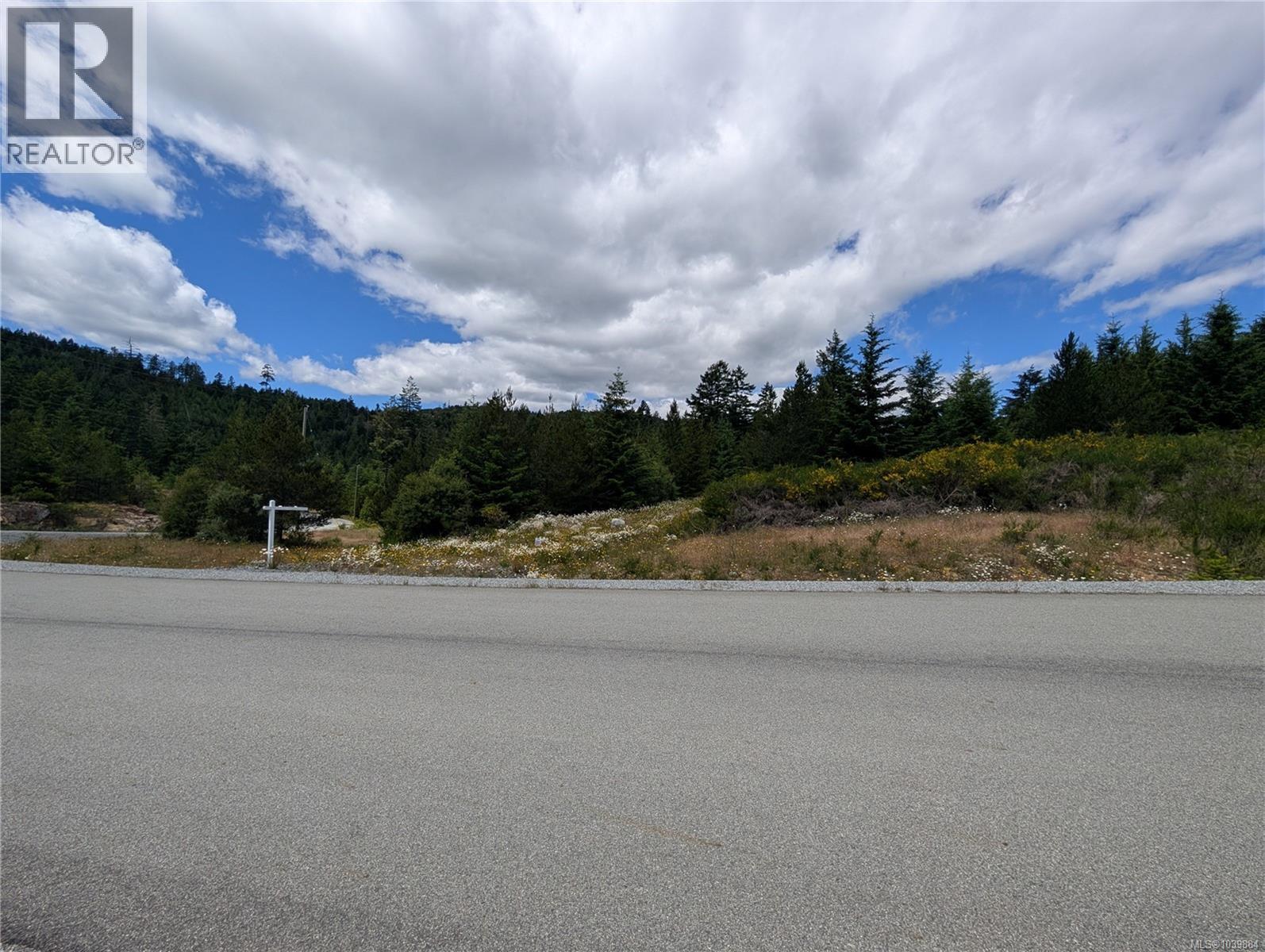 Lot 1 Eagle Vista Rd, Shawnigan Lake, British Columbia  V8H 2J1 - Photo 20 - 1039884
