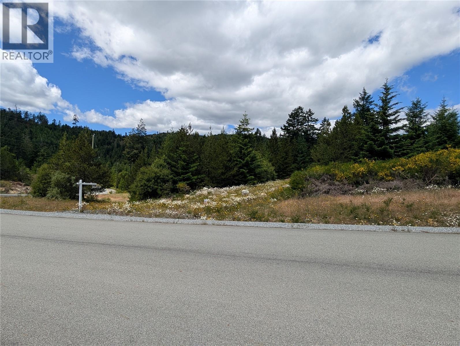 Lot 1 Eagle Vista Rd, Shawnigan Lake, British Columbia  V8H 2J1 - Photo 21 - 1039884