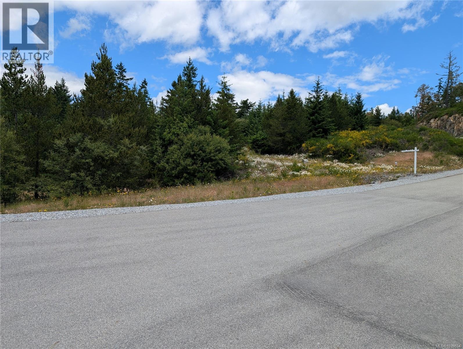 Lot 1 Eagle Vista Rd, Shawnigan Lake, British Columbia  V8H 2J1 - Photo 3 - 1039884