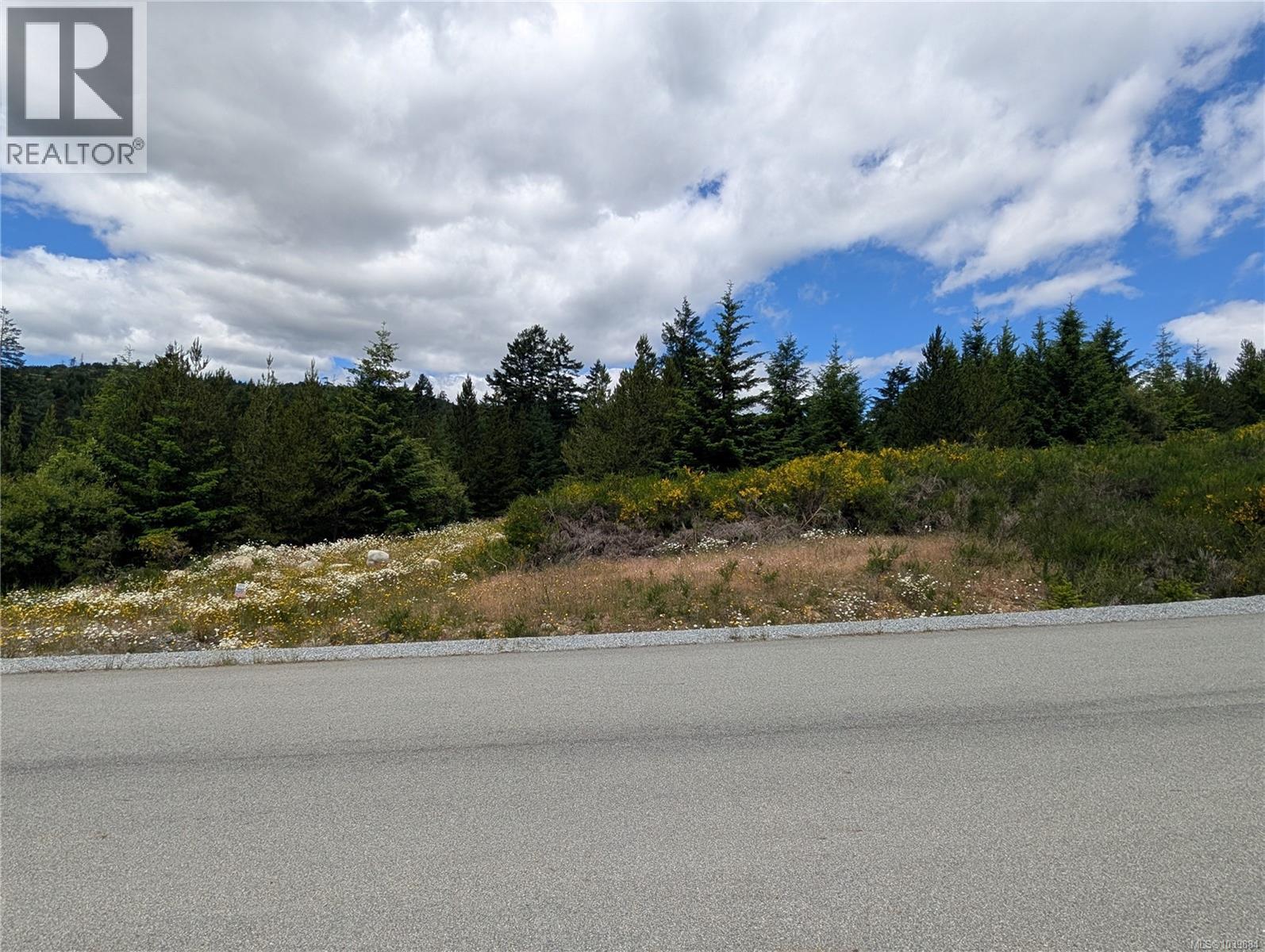 Lot 1 Eagle Vista Rd, Shawnigan Lake, British Columbia  V8H 2J1 - Photo 4 - 1039884
