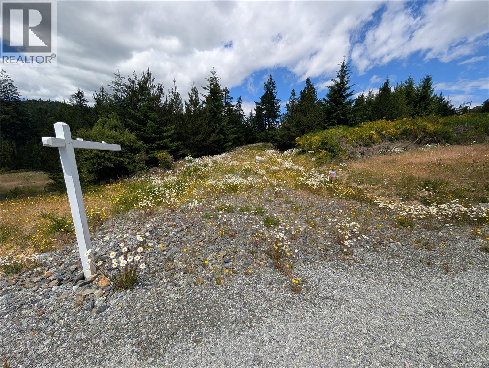 Lot 1 Eagle Vista Rd, Shawnigan Lake, British Columbia  V8H 2J1 - Photo 5 - 1039884