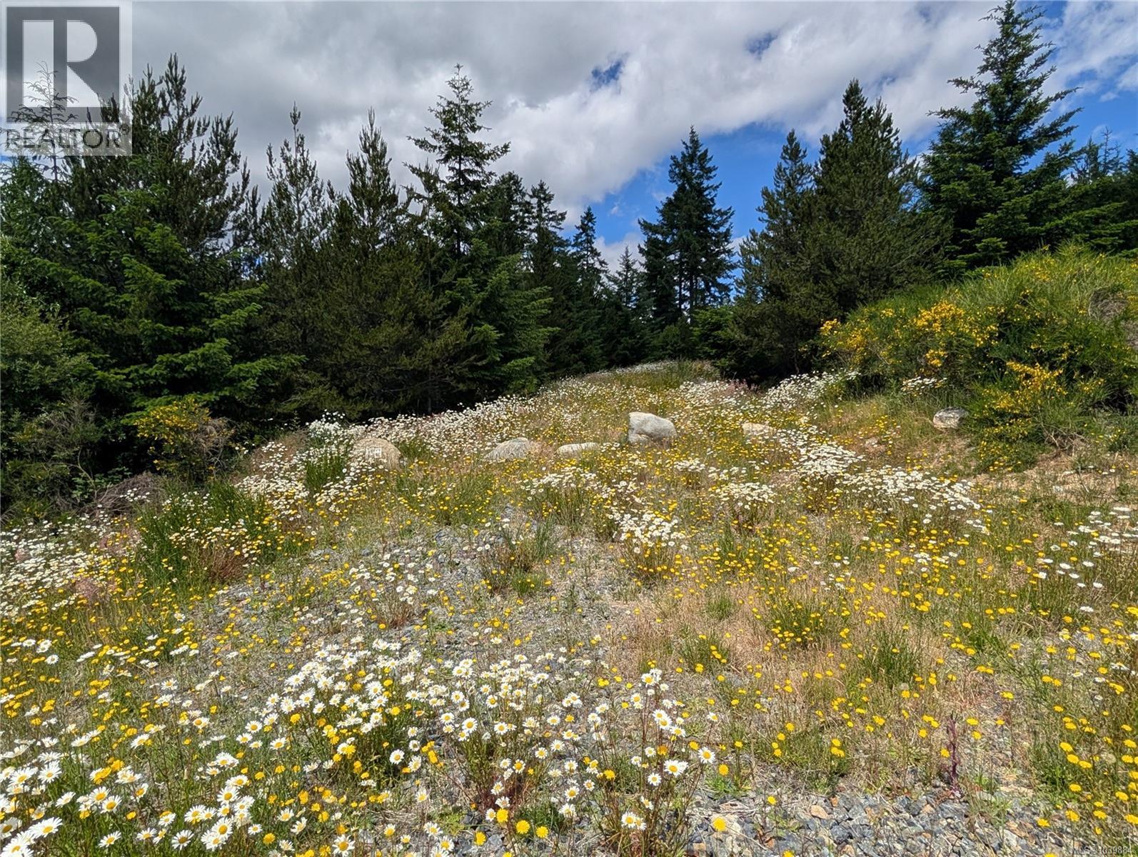 Lot 1 Eagle Vista Rd, Shawnigan Lake, British Columbia  V8H 2J1 - Photo 7 - 1039884