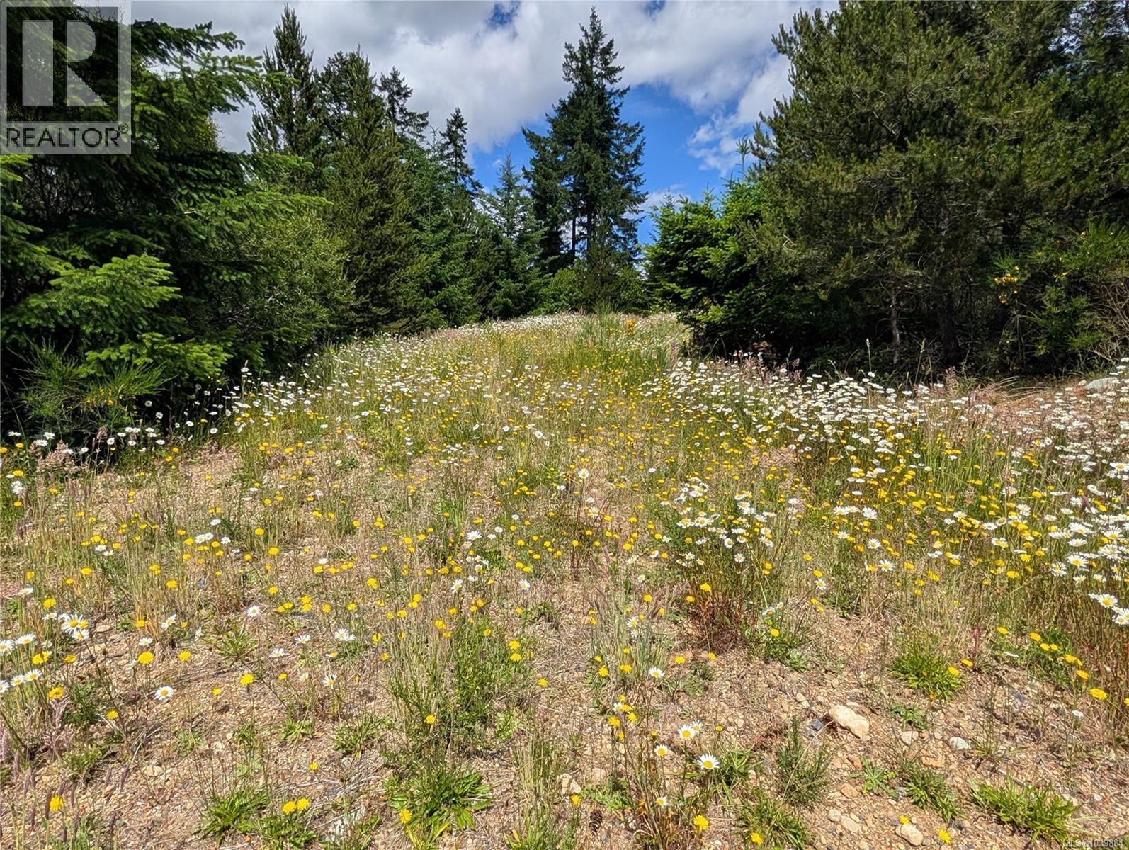 Lot 1 Eagle Vista Rd, Shawnigan Lake, British Columbia  V8H 2J1 - Photo 8 - 1039884