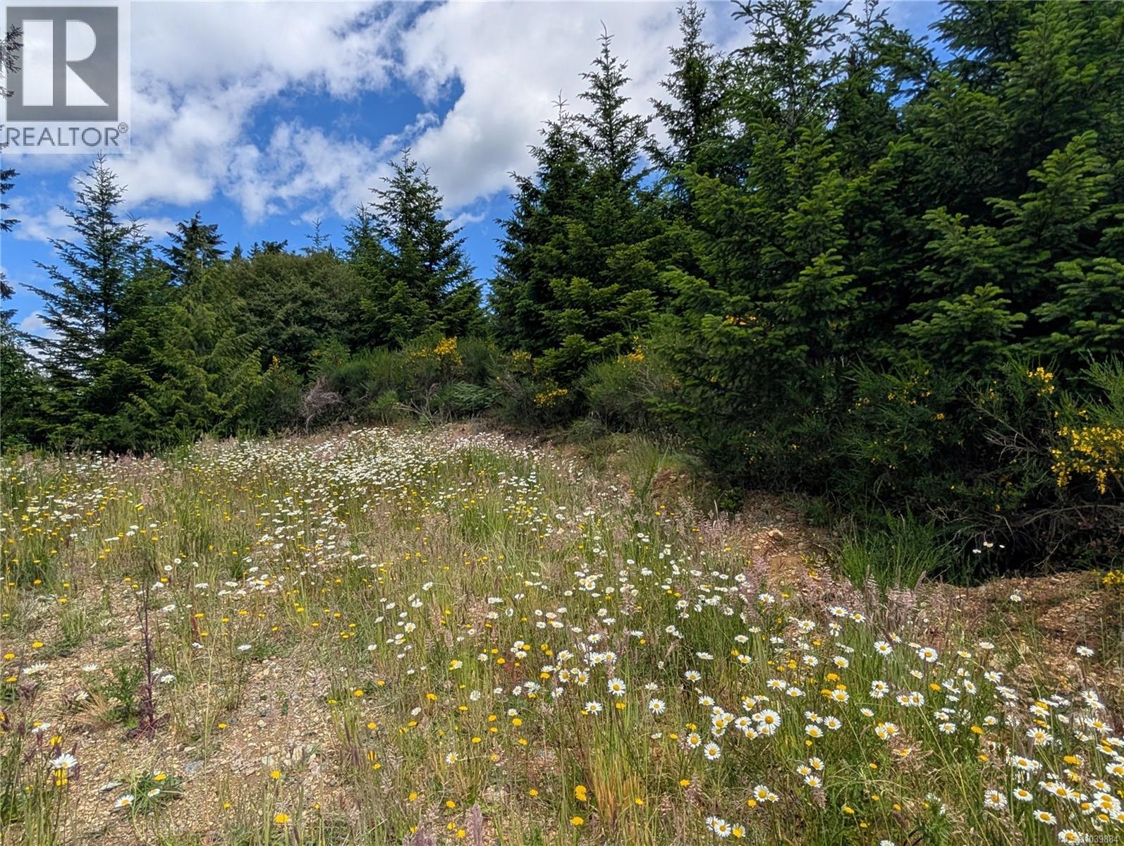Lot 1 Eagle Vista Rd, Shawnigan Lake, British Columbia  V8H 2J1 - Photo 9 - 1039884