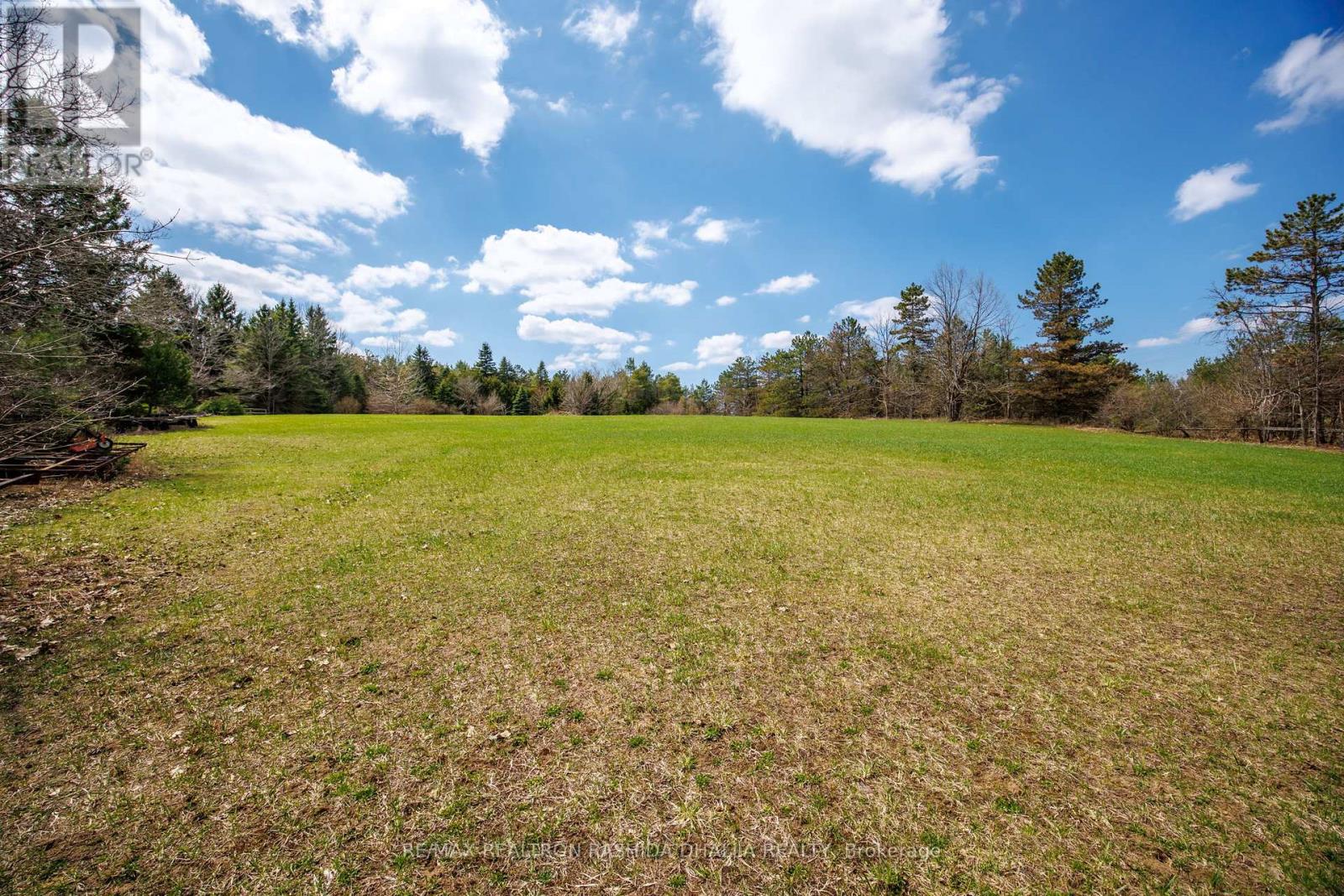 443 Goodwood Road, Uxbridge, Ontario  L0C 1A0 - Photo 14 - N13440000