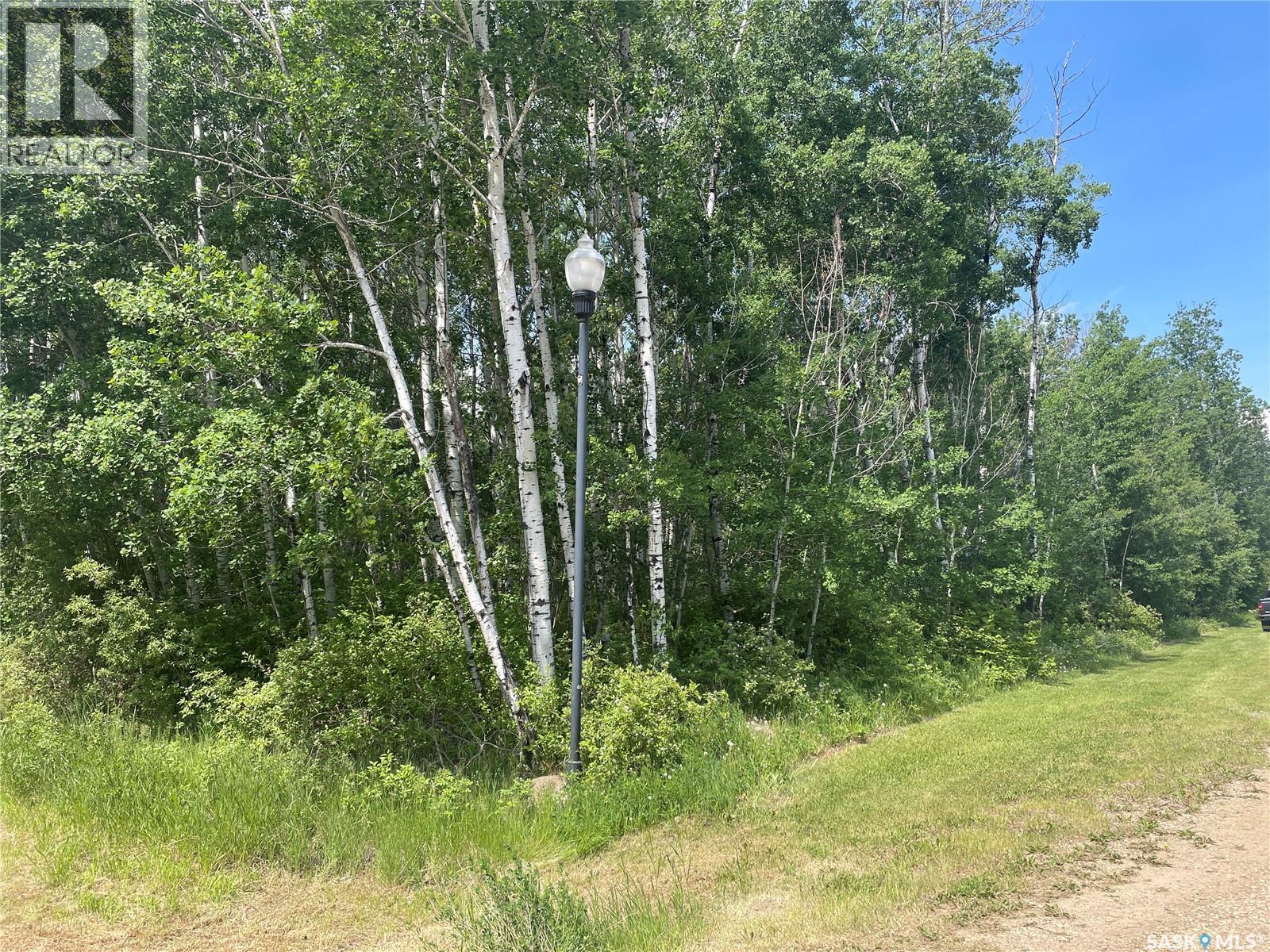 8 Fresno Street, Big River Rm No. 555, Saskatchewan  S0J 0E0 - Photo 2 - SK039320