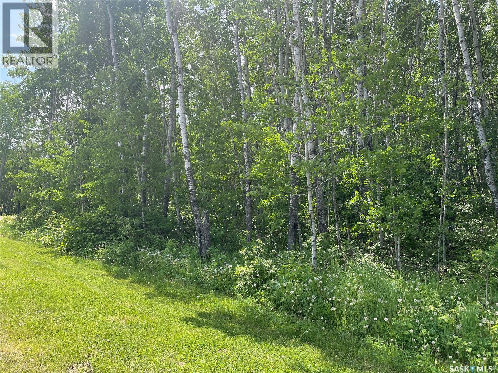 8 Fresno Street, Big River Rm No. 555, Saskatchewan  S0J 0E0 - Photo 3 - SK039320