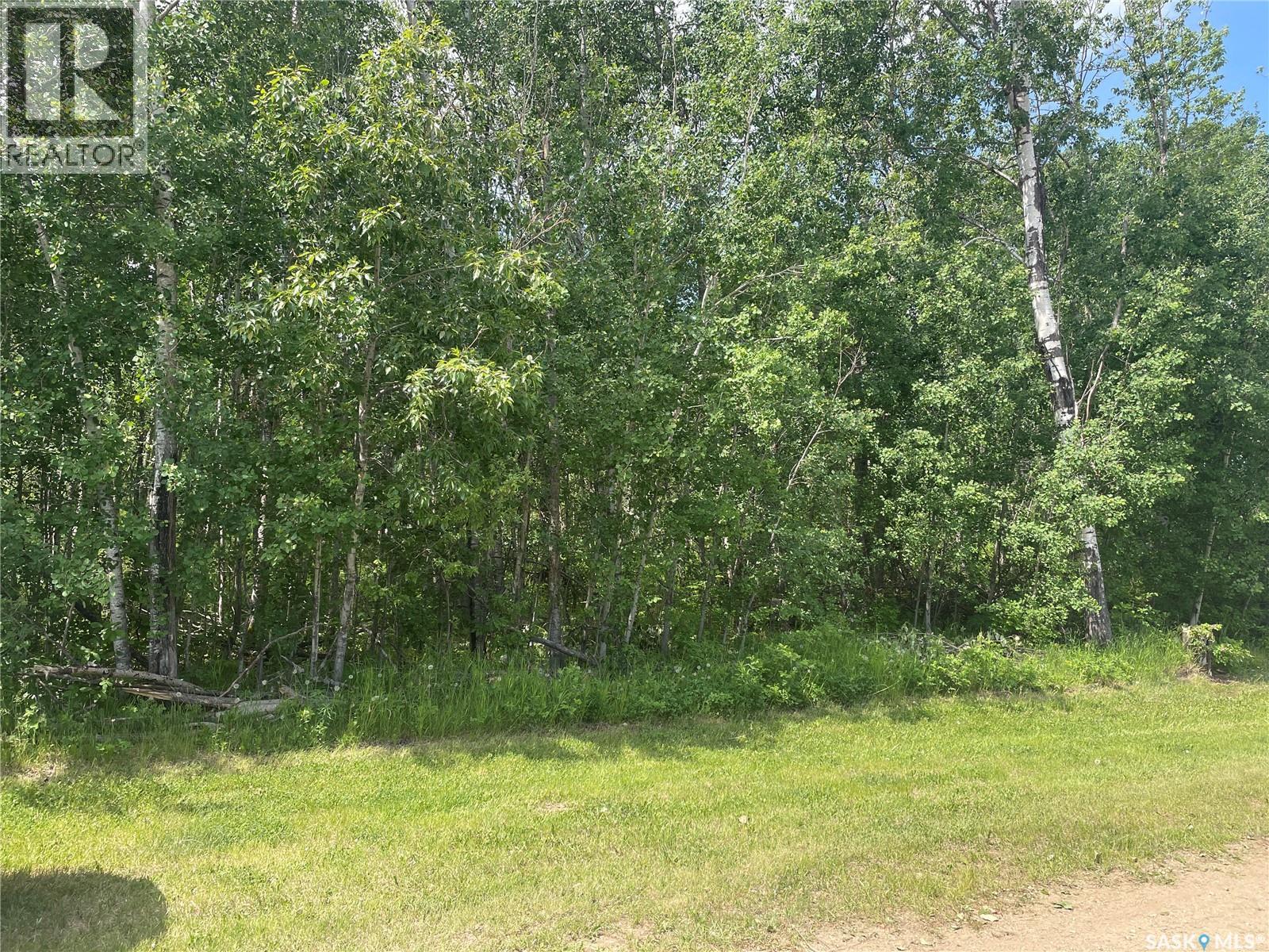 7 Fresno STREET, big river rm no. 555, Saskatchewan