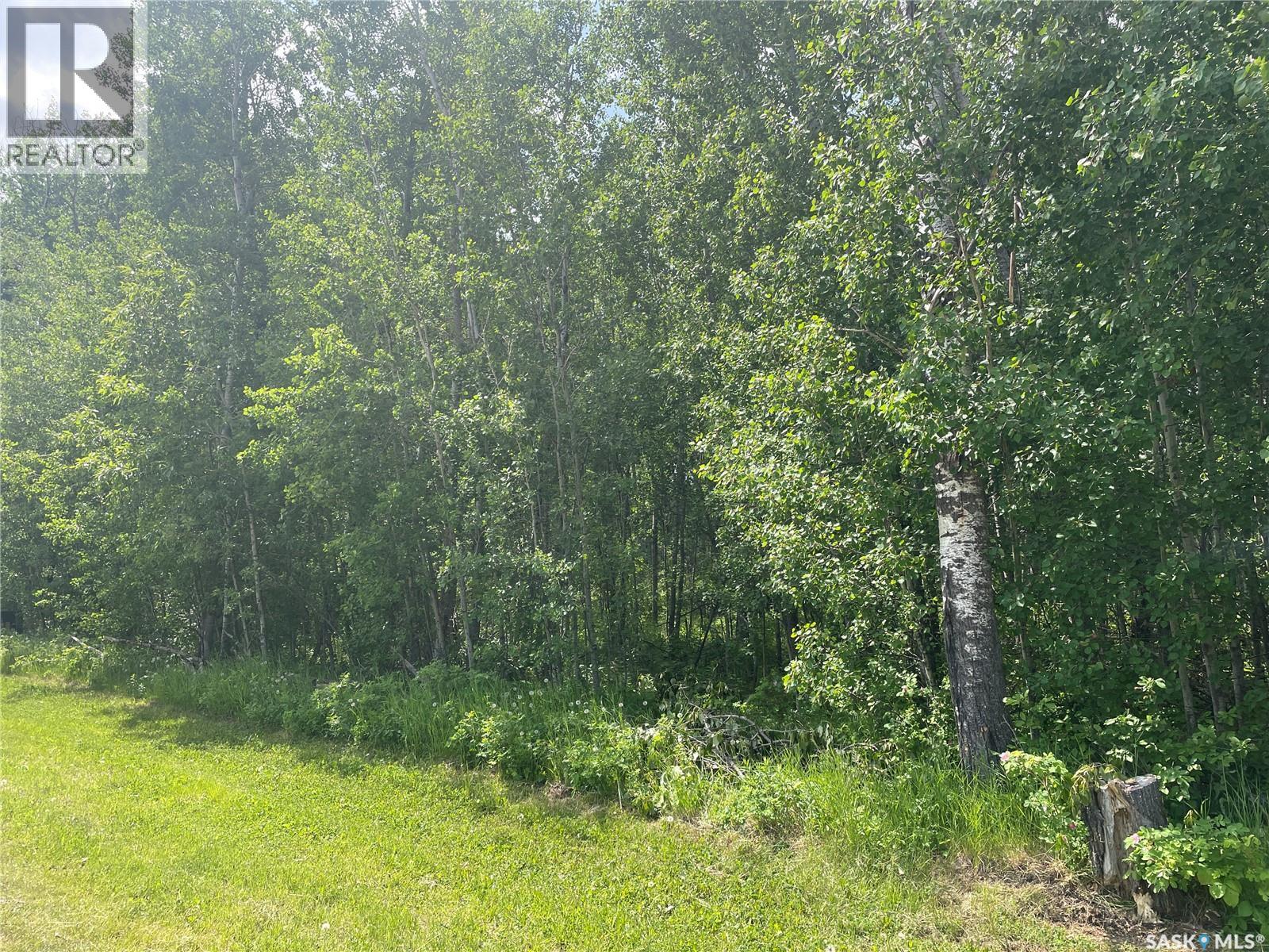 7 Fresno Street, Big River Rm No. 555, Saskatchewan  S0J 0E0 - Photo 3 - SK039319