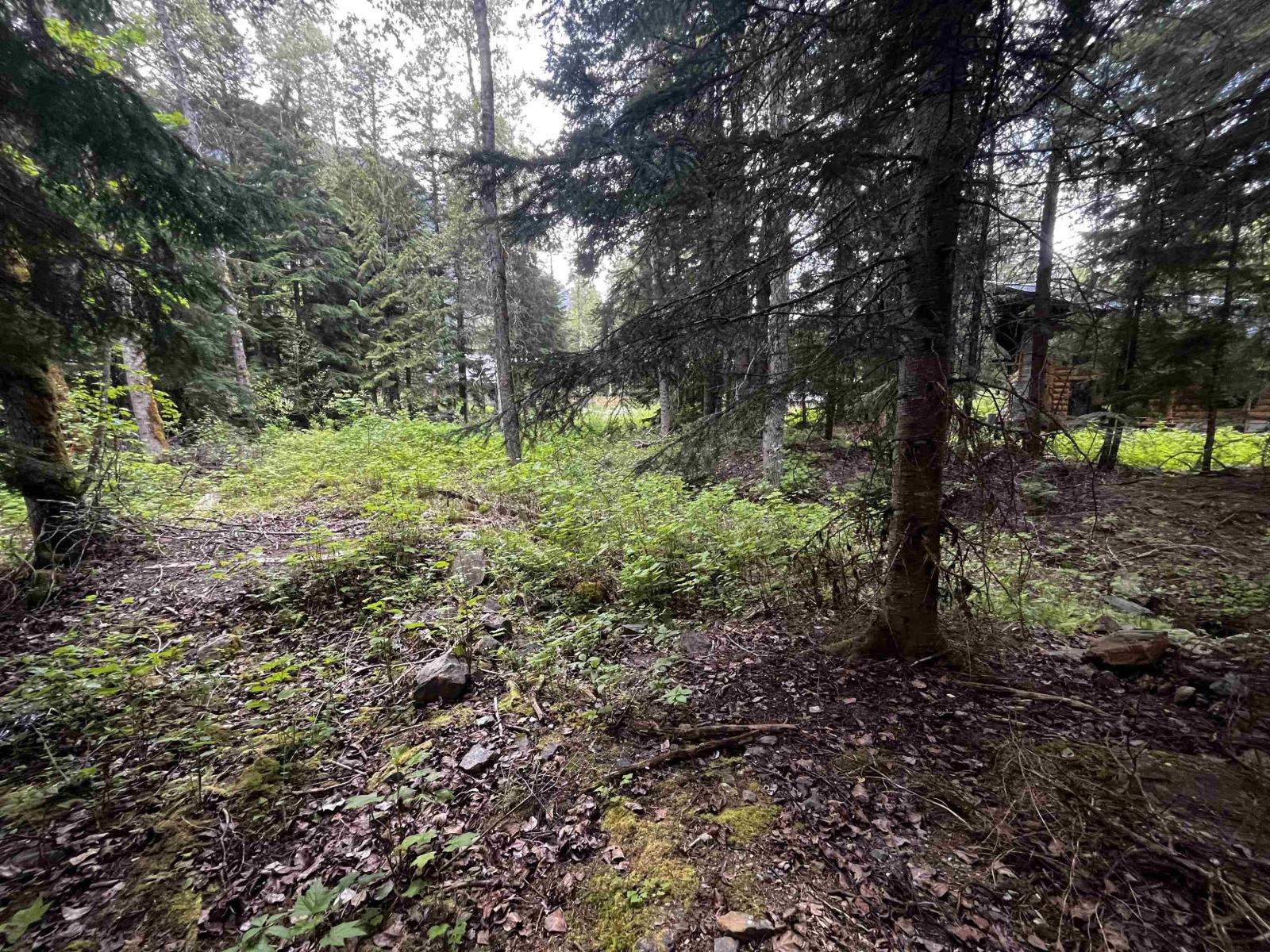 Sve25 Old Hope Princeton Highway, Sunshine Valley, Sunshine Valley, British Columbia  V0X 1L5 - Photo 15 - R3135415