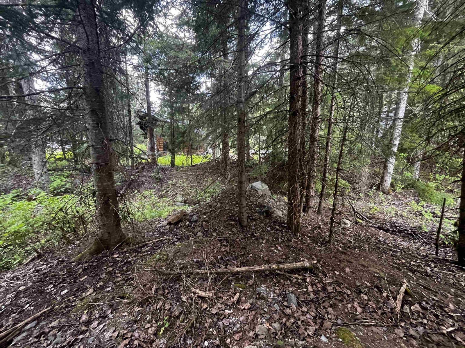 Sve25 Old Hope Princeton Highway, Sunshine Valley, Sunshine Valley, British Columbia  V0X 1L5 - Photo 16 - R3135415