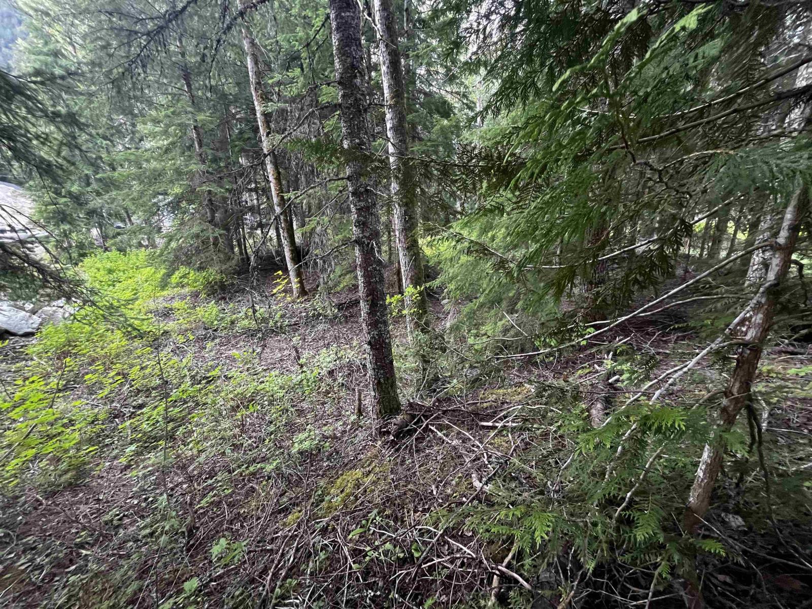 Sve25 Old Hope Princeton Highway, Sunshine Valley, Sunshine Valley, British Columbia  V0X 1L5 - Photo 13 - R3135415