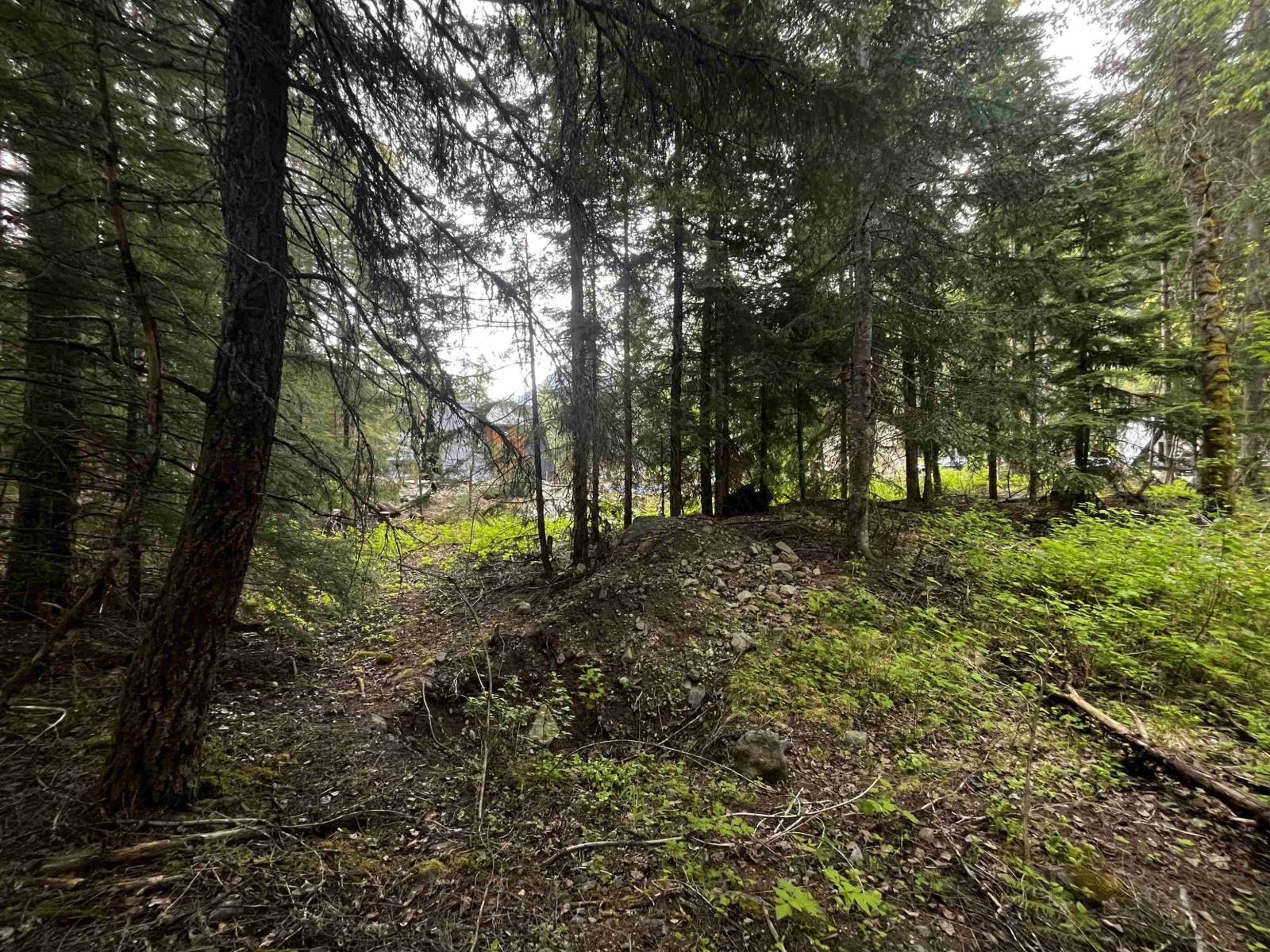 Sve25 Old Hope Princeton Highway, Sunshine Valley, Sunshine Valley, British Columbia  V0X 1L5 - Photo 10 - R3135415