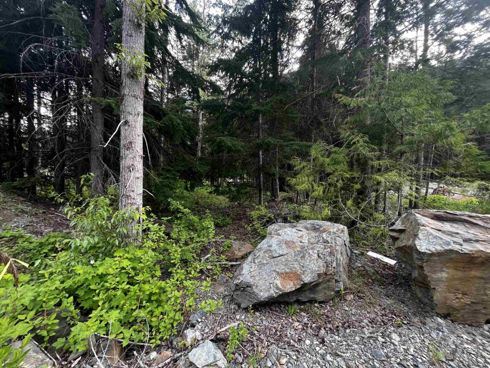 Sve25 Old Hope Princeton Highway, Sunshine Valley, Sunshine Valley, British Columbia  V0X 1L5 - Photo 3 - R3135415