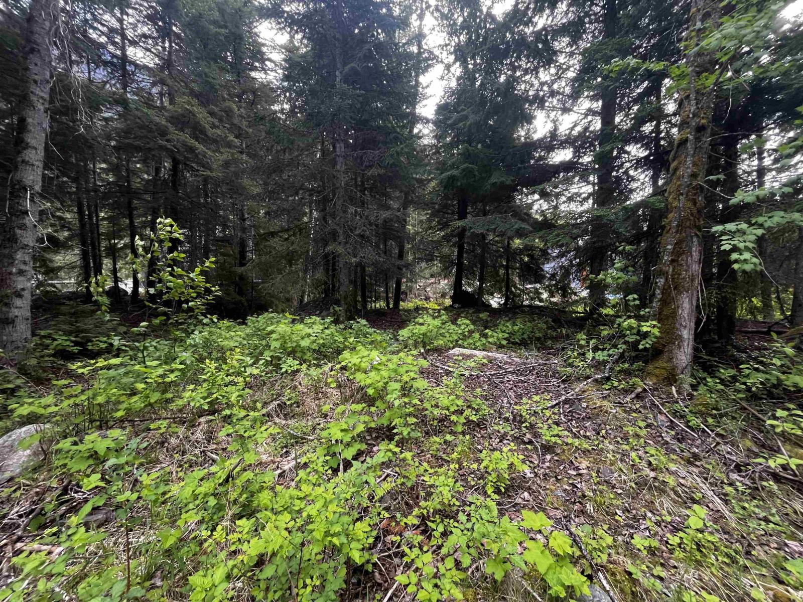 Sve25 Old Hope Princeton Highway, Sunshine Valley, Sunshine Valley, British Columbia  V0X 1L5 - Photo 6 - R3135415