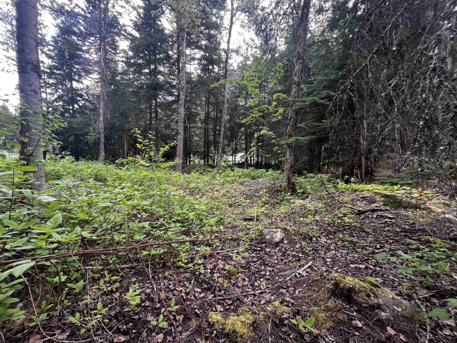 Sve25 Old Hope Princeton Highway, Sunshine Valley, Sunshine Valley, British Columbia  V0X 1L5 - Photo 4 - R3135415