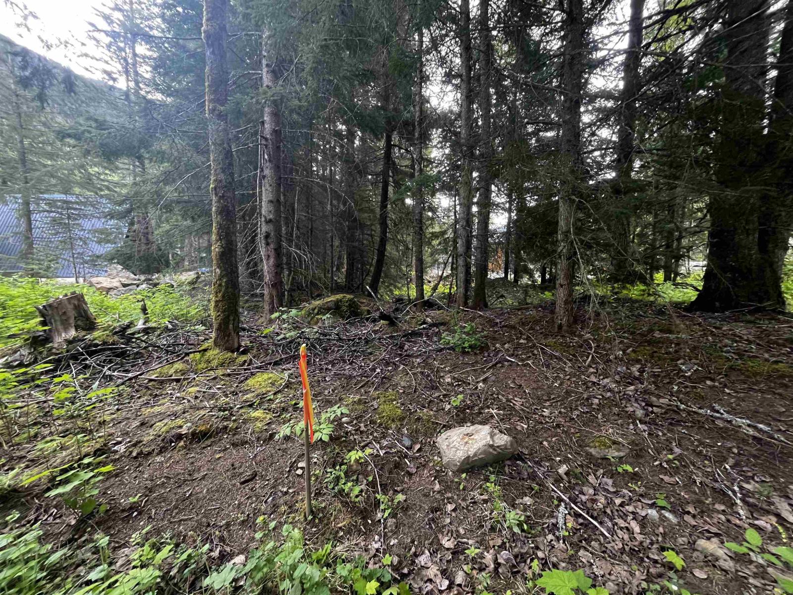 Sve25 Old Hope Princeton Highway, Sunshine Valley, Sunshine Valley, British Columbia  V0X 1L5 - Photo 8 - R3135415
