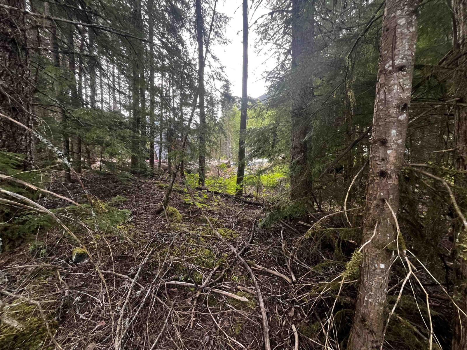 Sve25 Old Hope Princeton Highway, Sunshine Valley, Sunshine Valley, British Columbia  V0X 1L5 - Photo 11 - R3135415
