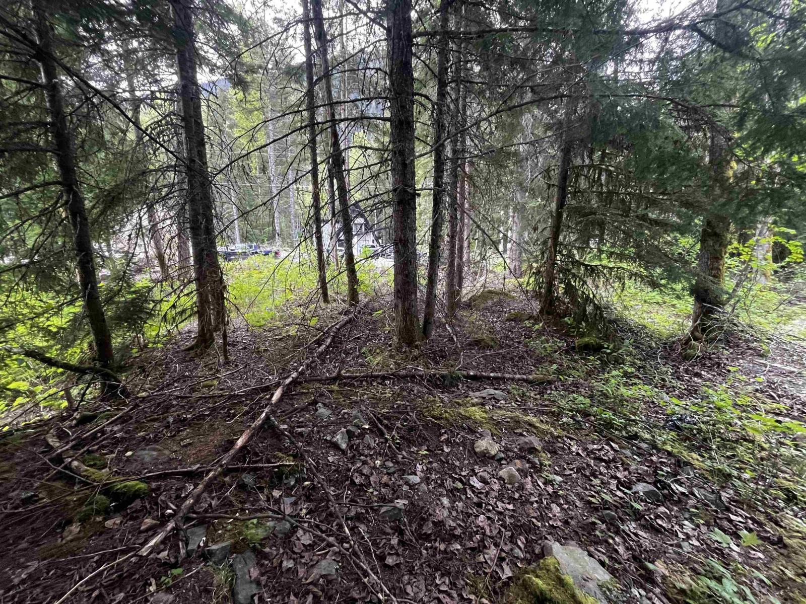Sve25 Old Hope Princeton Highway, Sunshine Valley, Sunshine Valley, British Columbia  V0X 1L5 - Photo 14 - R3135415