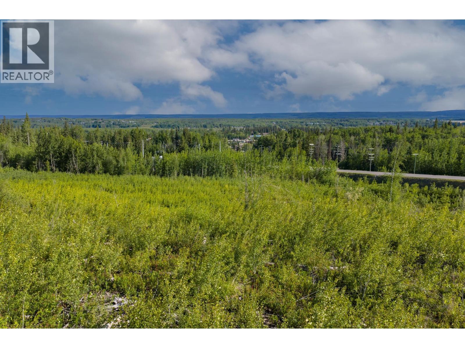1575 Nechako Avenue, Vanderhoof, British Columbia  V0J 3A0 - Photo 4 - R3135537