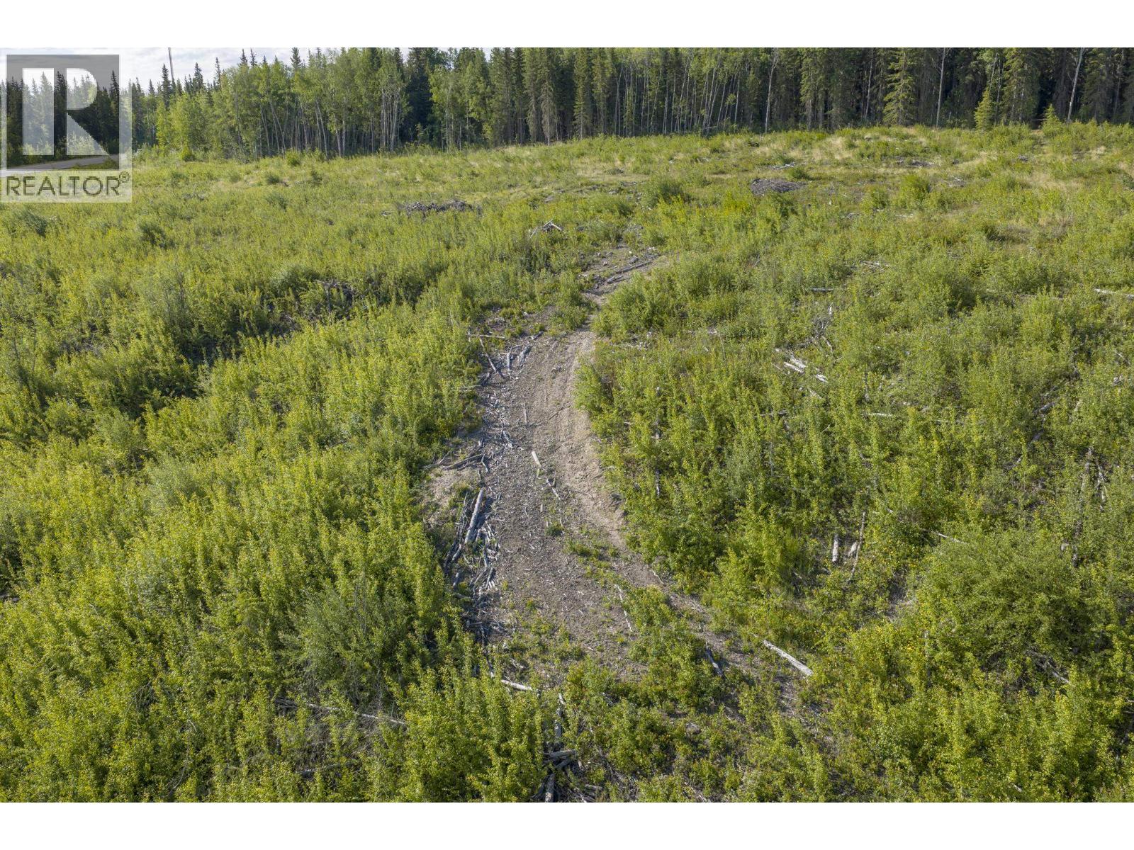 1575 Nechako Avenue, Vanderhoof, British Columbia  V0J 3A0 - Photo 6 - R3135537