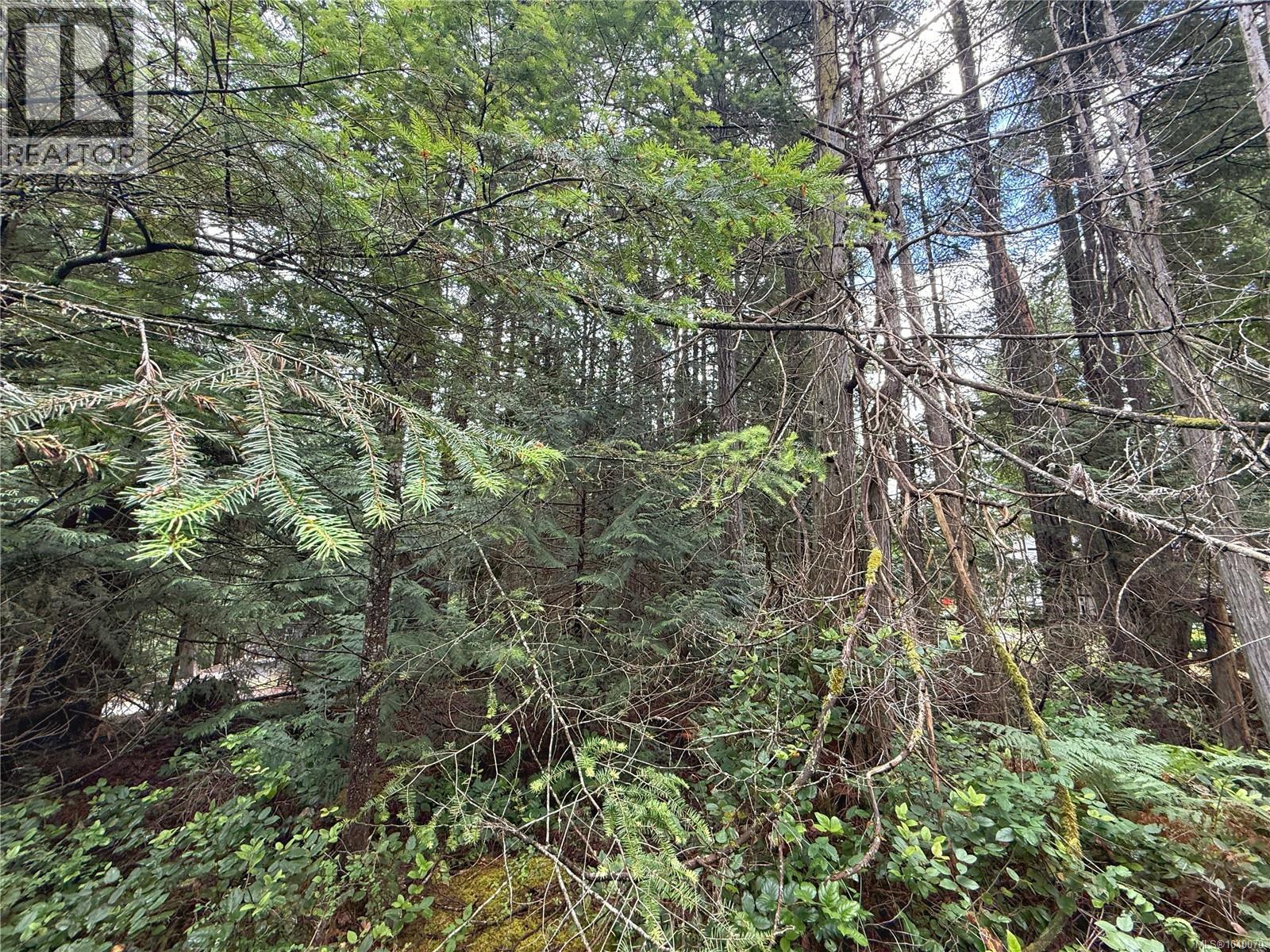 Lt 53 Dirksen Rd, Gabriola Island, British Columbia  V0R 1X2 - Photo 10 - 1040070