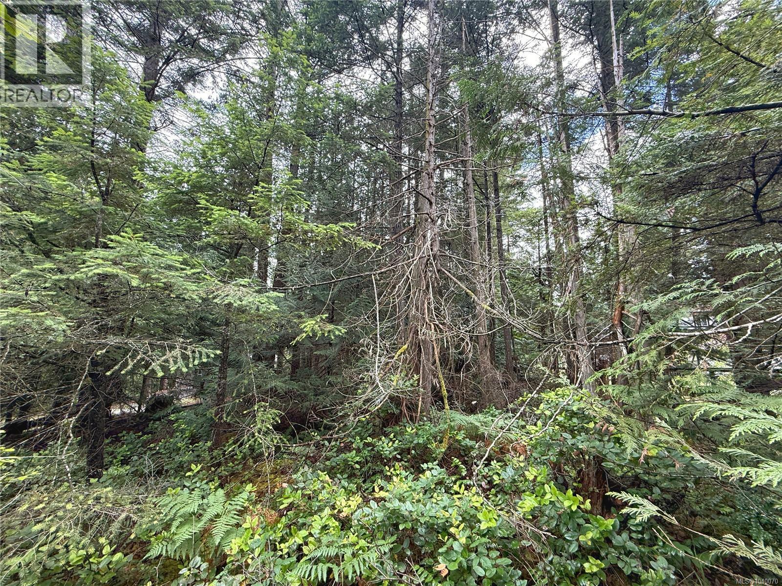 Lt 53 Dirksen Rd, Gabriola Island, British Columbia  V0R 1X2 - Photo 9 - 1040070