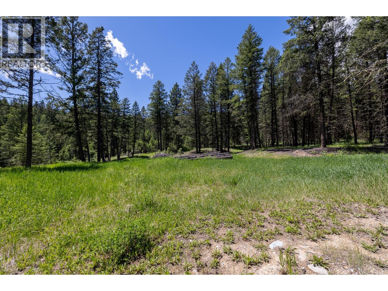 Toby Creek Road Lot# 4, Invermere, British Columbia  V0A 1K5 - Photo 12 - 10390778