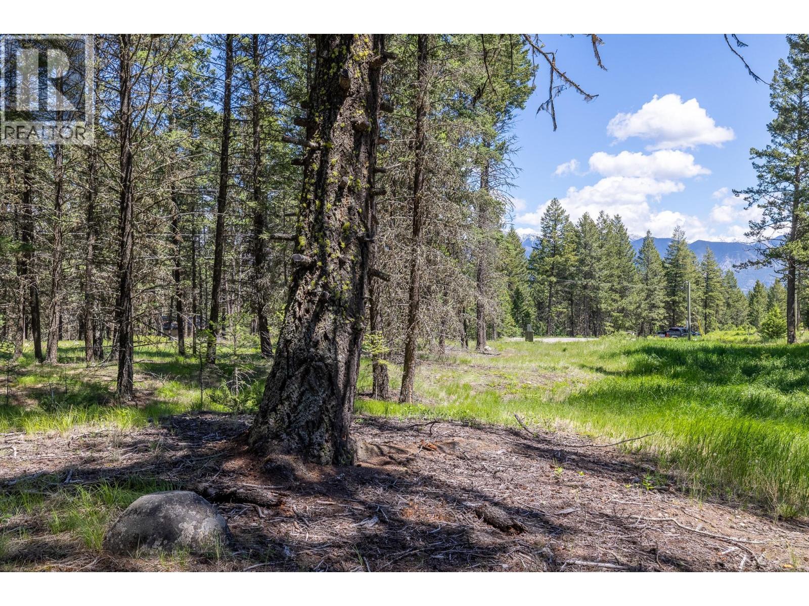 Toby Creek Road Lot# 4, Invermere, British Columbia  V0A 1K5 - Photo 8 - 10390778