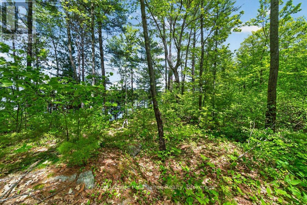 2485 Alf's Bay Lane, Frontenac, Ontario  K0H 1B0 - Photo 29 - X13440518