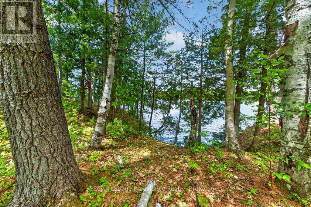 2485 Alf's Bay Lane, Frontenac, Ontario  K0H 1B0 - Photo 30 - X13440518