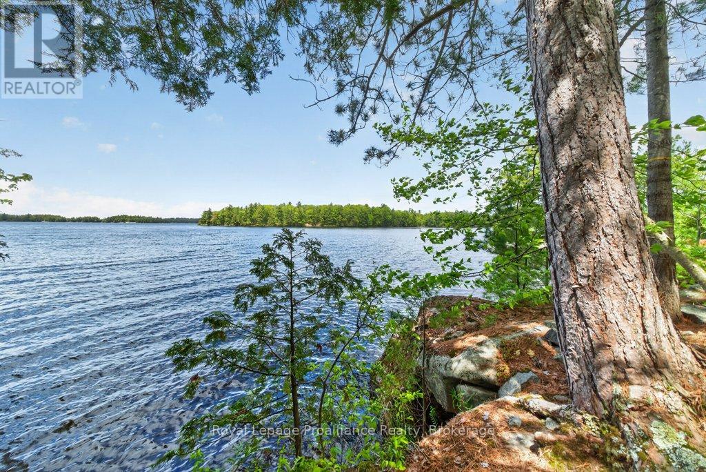 2485 Alf's Bay Lane, Frontenac, Ontario  K0H 1B0 - Photo 33 - X13440518