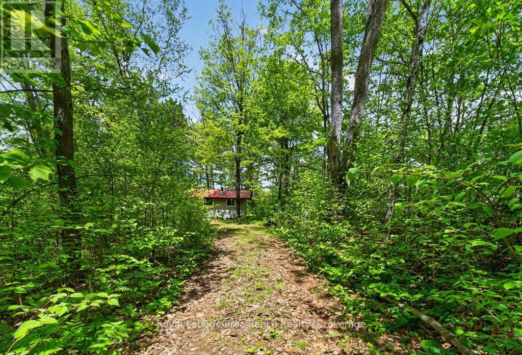 2485 Alf's Bay Lane, Frontenac, Ontario  K0H 1B0 - Photo 4 - X13440518
