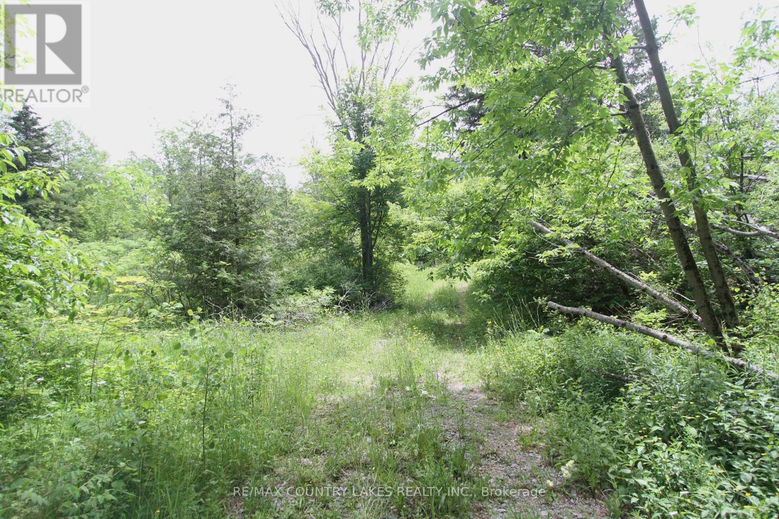 Lt3 Ramblewood Trail, Kawartha Lakes, Ontario K0M 2B0 - Photo 2 - X13068808