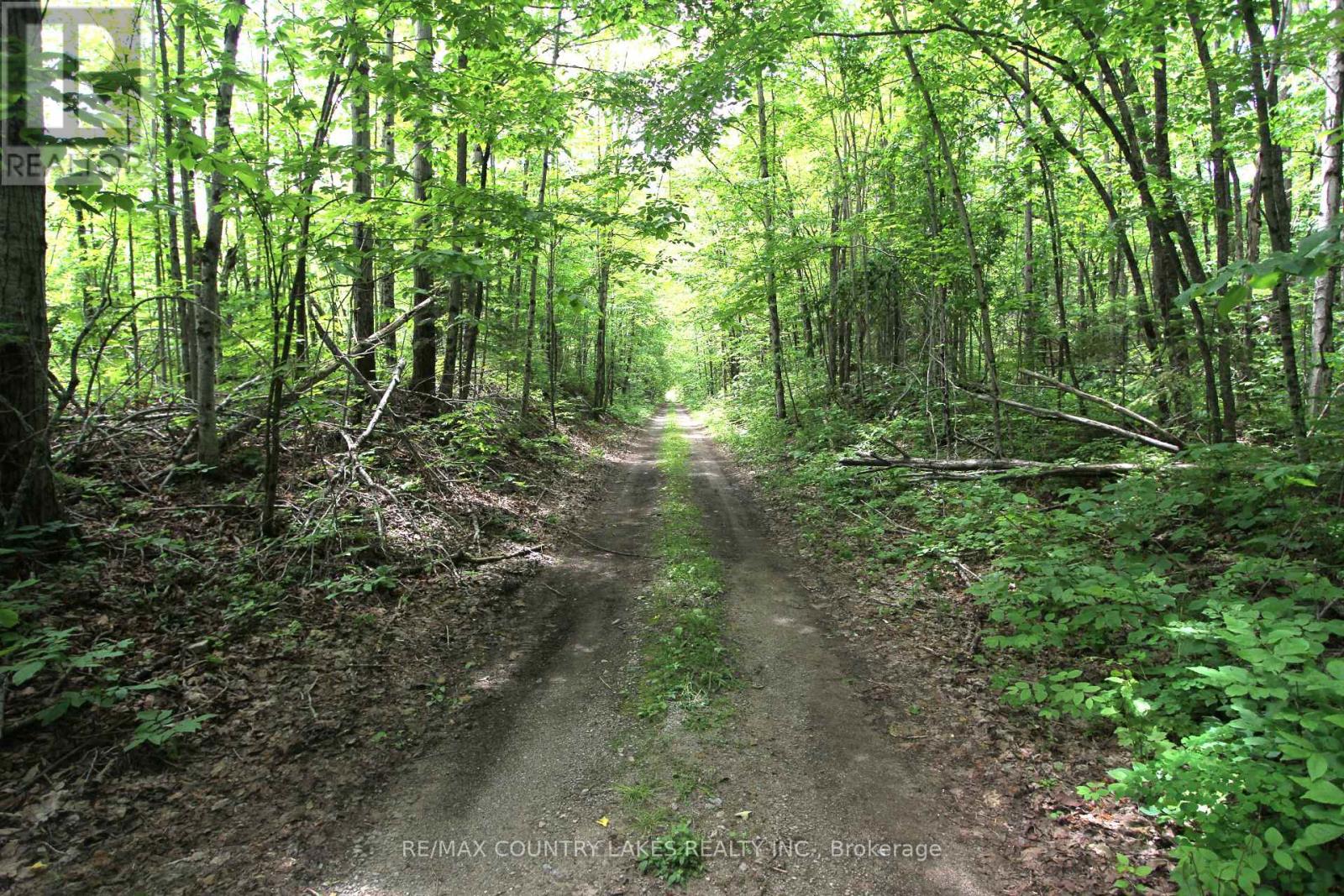 Lt3 Ramblewood Trail, Kawartha Lakes, Ontario K0M 2B0 - Photo 25 - X13068808