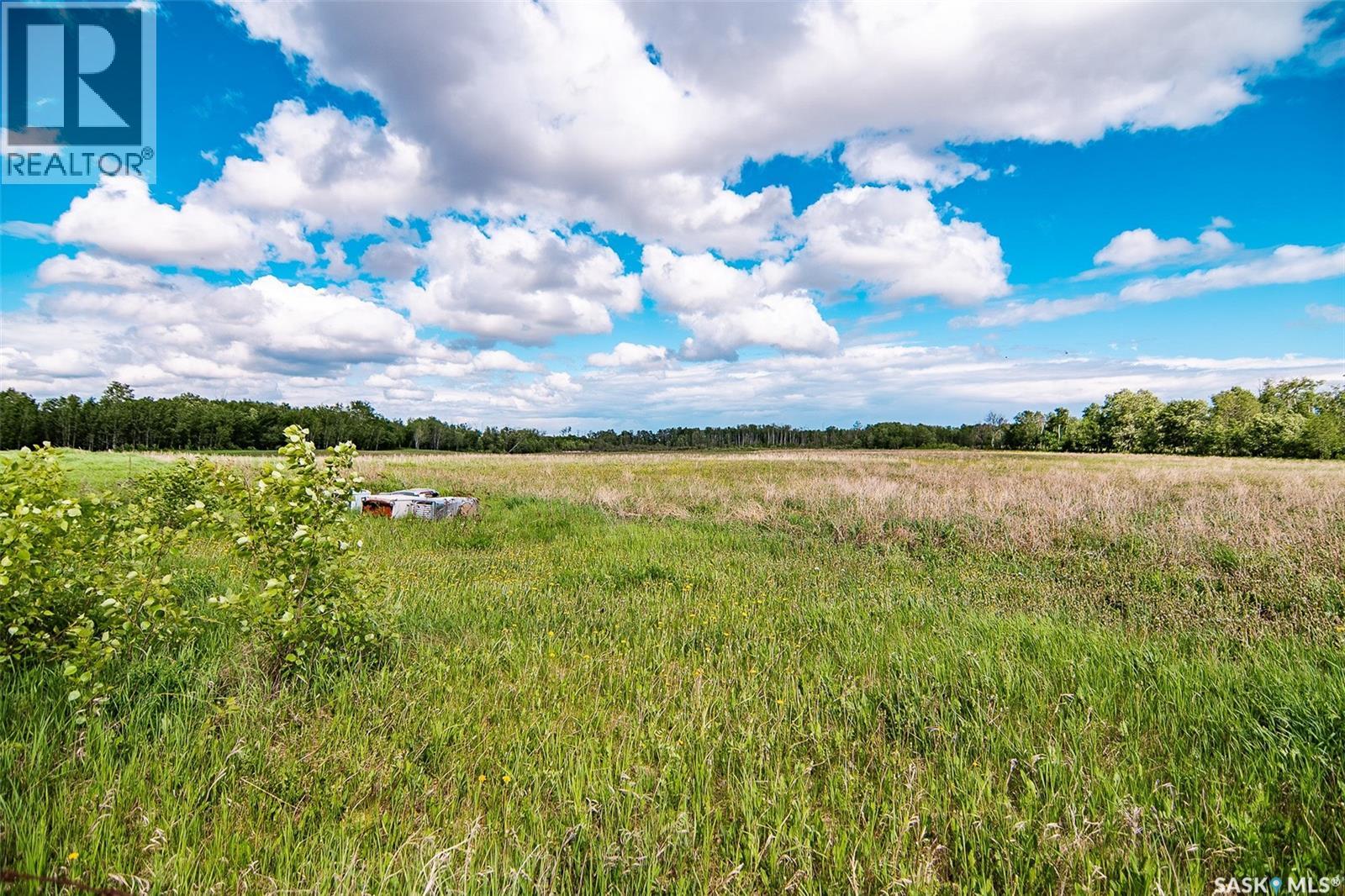 Chatlain Farm, Paddockwood Rm No. 520, Saskatchewan  S0J 0N0 - Photo 29 - SK039227