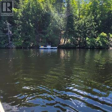 83 Shady Maple Road, Mcnab/braeside, Ontario K0J 1G0 - Photo 20 - X13100560