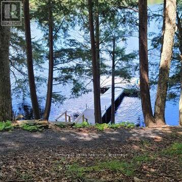 83 Shady Maple Road, Mcnab/braeside, Ontario K0J 1G0 - Photo 19 - X13100560