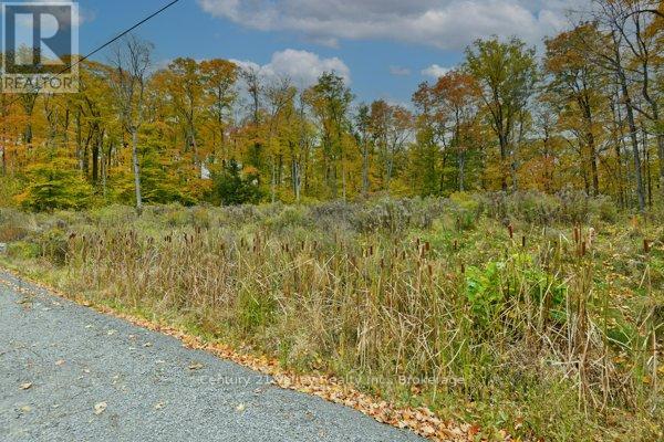83 Shady Maple Road, Mcnab/braeside, Ontario K0J 1G0 - Photo 5 - X13100560