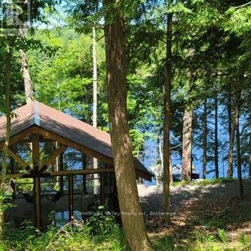 83 Shady Maple Road, Mcnab/braeside, Ontario K0J 1G0 - Photo 16 - X13100560