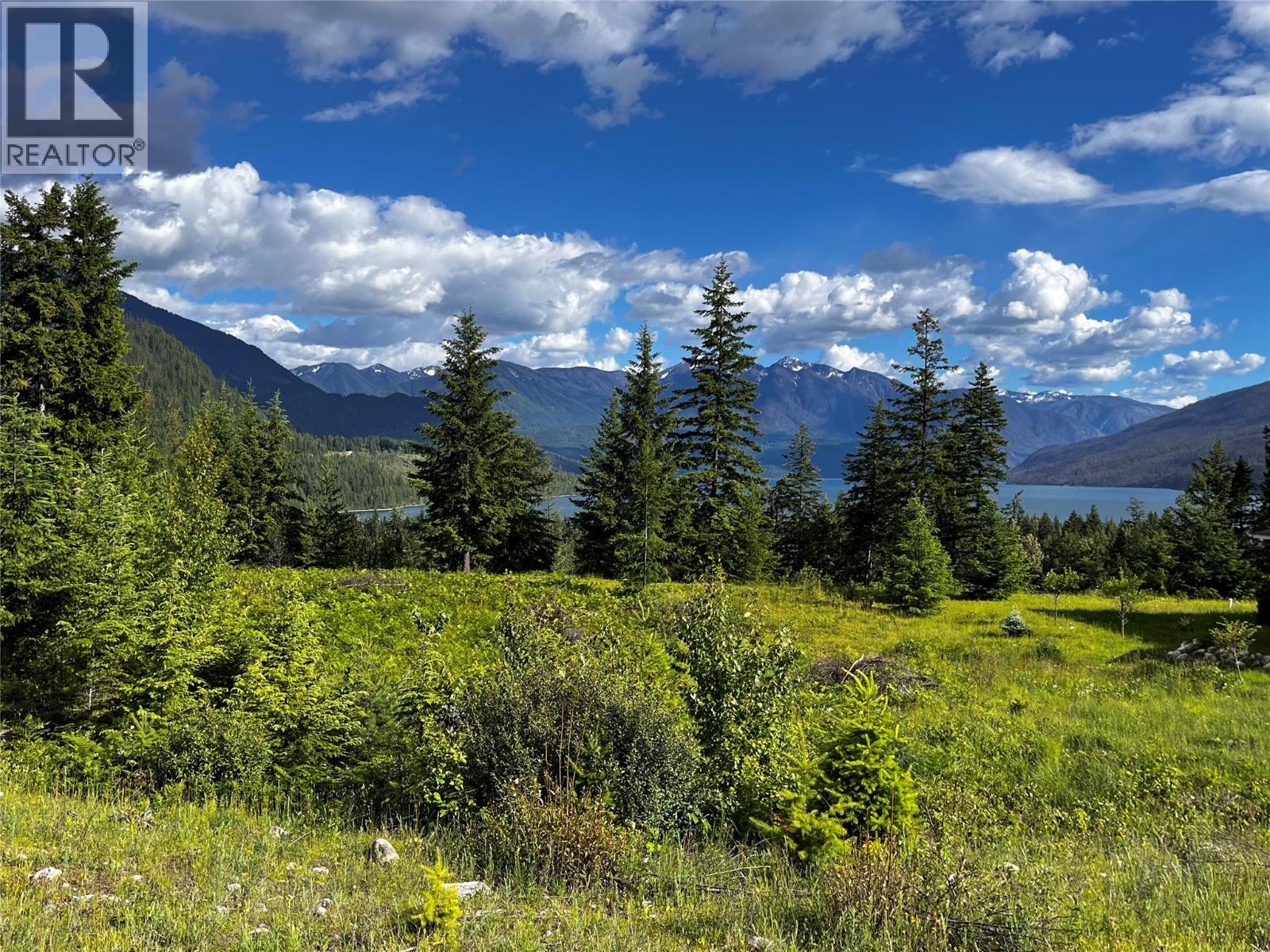 235 Fullmoon Road, Rosebery, British Columbia