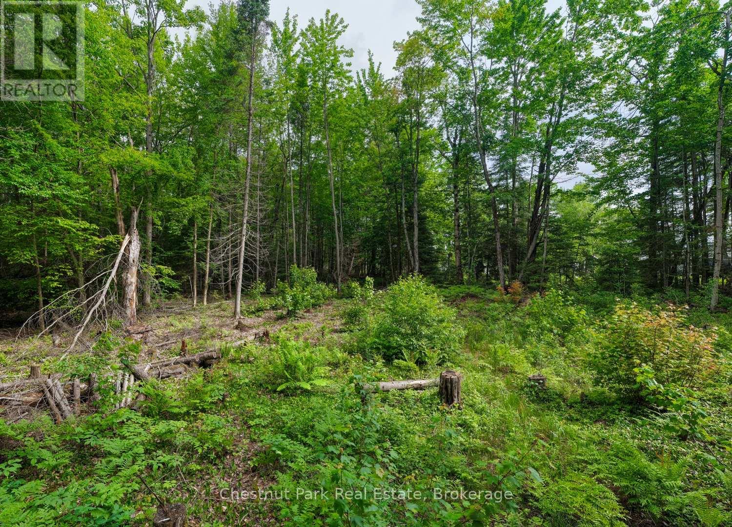 1066 Uffington Road, Bracebridge, Ontario  P1L 1X1 - Photo 4 - X13440718