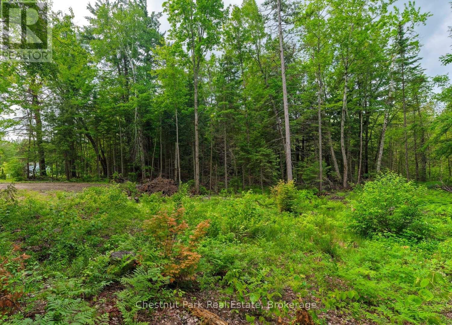 1066 Uffington Road, Bracebridge, Ontario  P1L 1X1 - Photo 5 - X13440718
