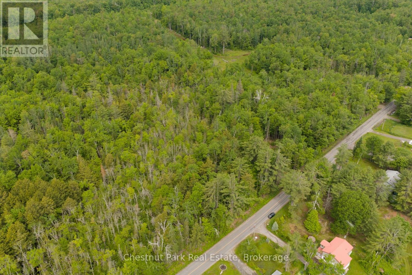 1066 Uffington Road, Bracebridge, Ontario  P1L 1X1 - Photo 9 - X13440718