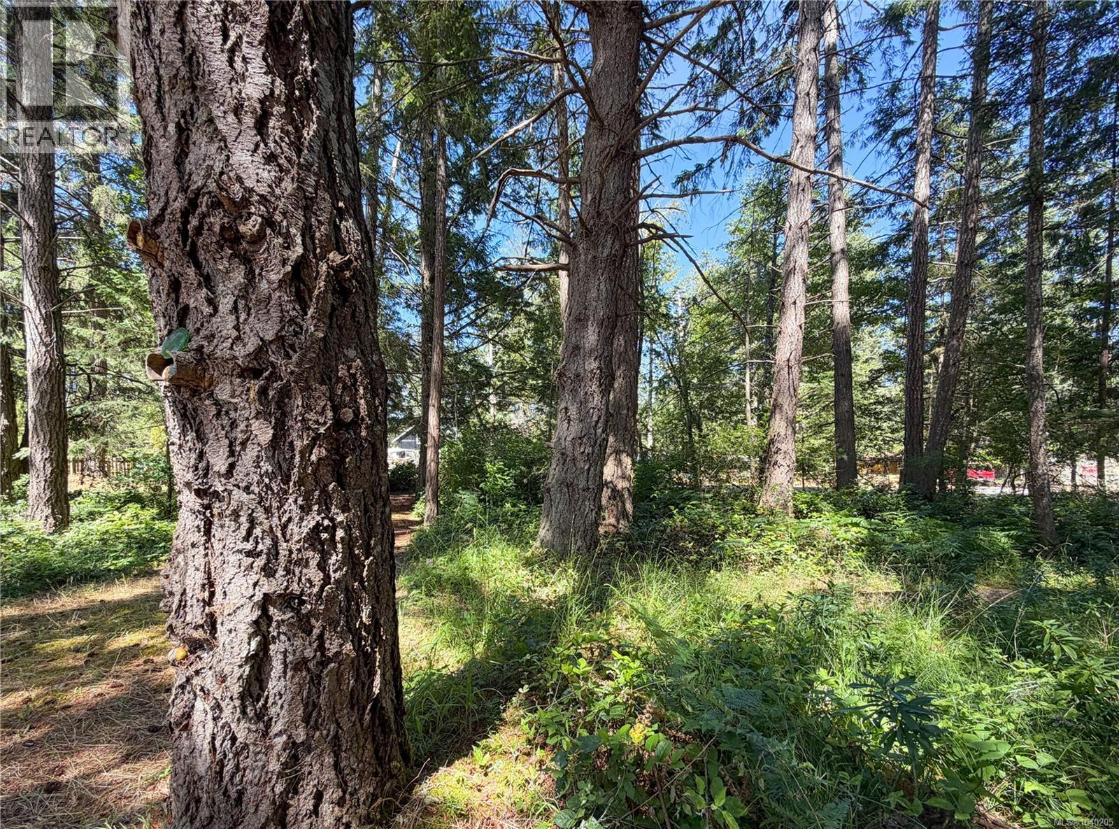 Lt 113 Pinewood Rd, Gabriola Island, British Columbia  V0R 1X4 - Photo 8 - 1040205