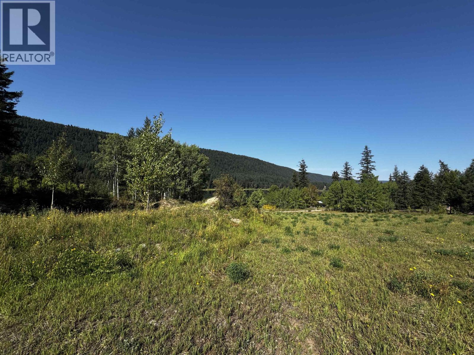 Lot 1 Robertson Road, Mcleese Lake, British Columbia  V2G 4Z2 - Photo 4 - R3040764