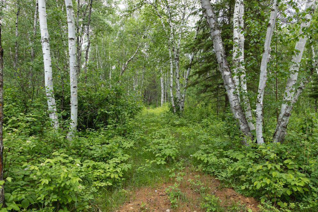 55 Mondor Road, Rm Of Reynolds, Manitoba  R5L 0L4 - Photo 35 - 202613584